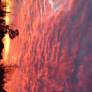 Meet your Posher, Analisa